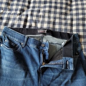 Torrid jeans